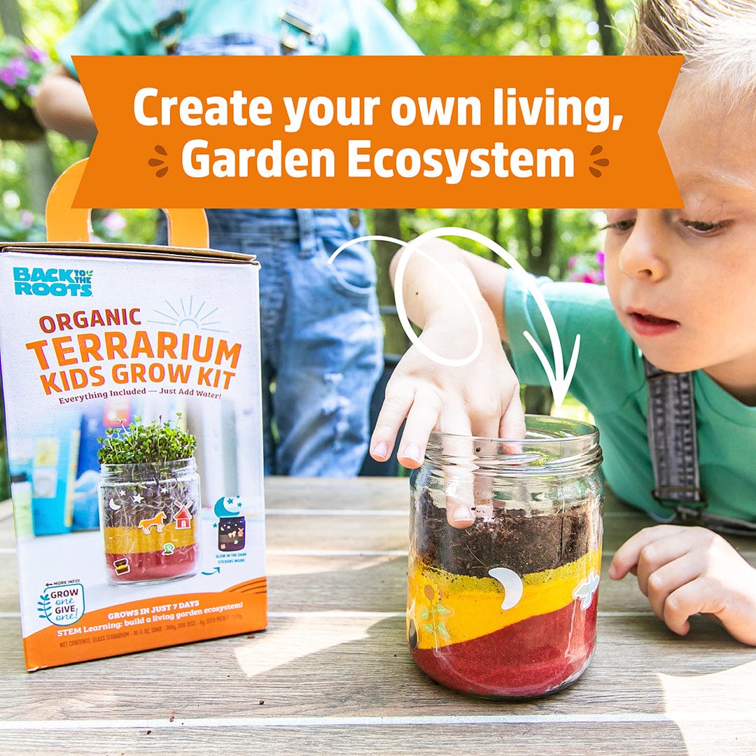 Kids Grow Kit 4-Pack Bundle: Terrarium and 3 Science Grow Kits 🎁