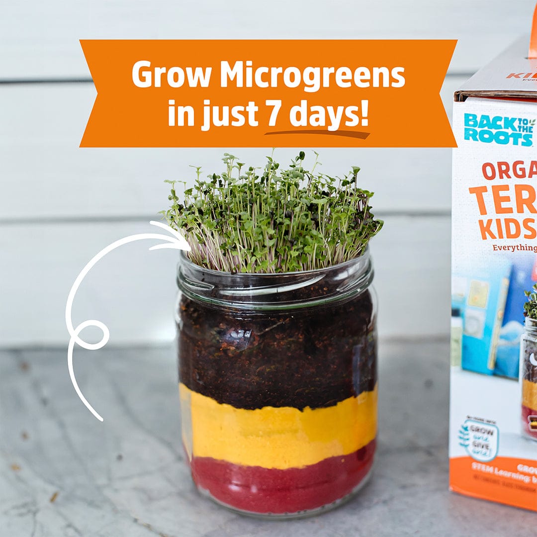 Glass jar terrarium with layered red, yellow, and dark soil, sprouting green microgreens. - Organic Terrarium Kids Grow Kit 2pack bundle - Default Title - Back to the Roots