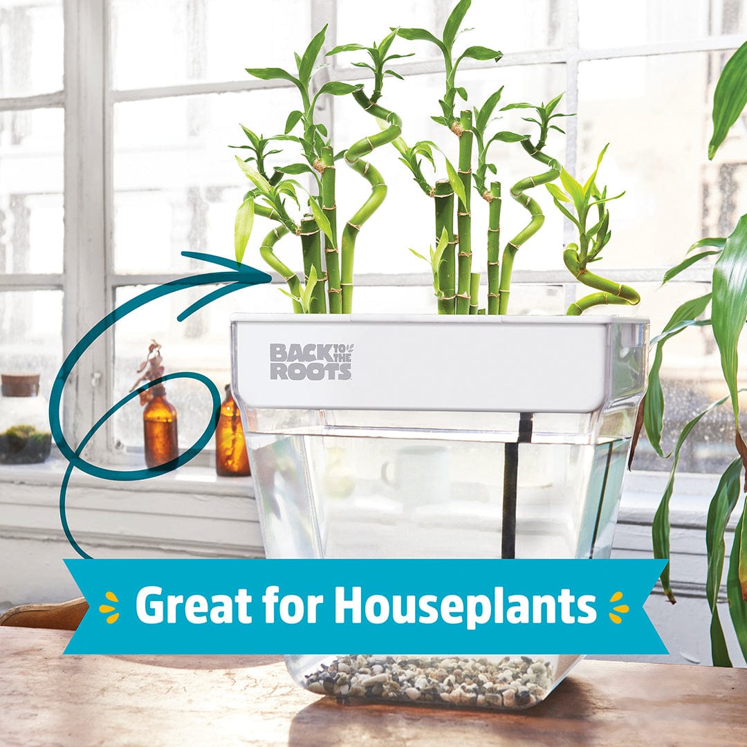 hydroponic plant fish tank Back to the Roots - Water Garden Duo - Includes Hydroponics and Aquaponics Ecosystem - Grow Year Round