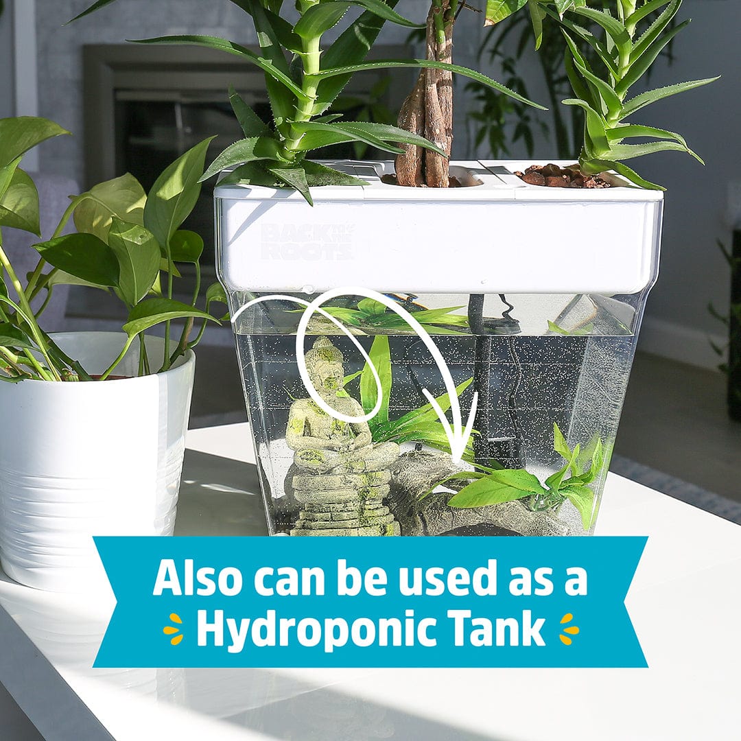 indoor water plants and fish Back to the Roots - Water Garden Duo - Includes Hydroponics and Aquaponics Ecosystem - Grow Year Round