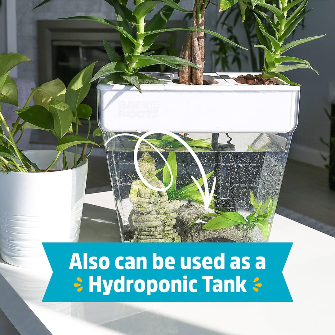 Water Garden Duo: Hydroponics / Aquaponics Ecosystem