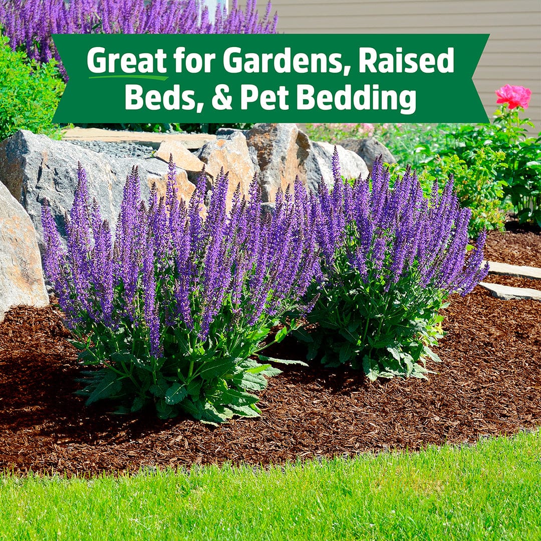 Dark brown organic coconut coir mulch applied around purple flowering plants in garden bed with stone border and green grass - Organic Coconut Coir Mulch 10lb Block - Default Title - Back to the Roots