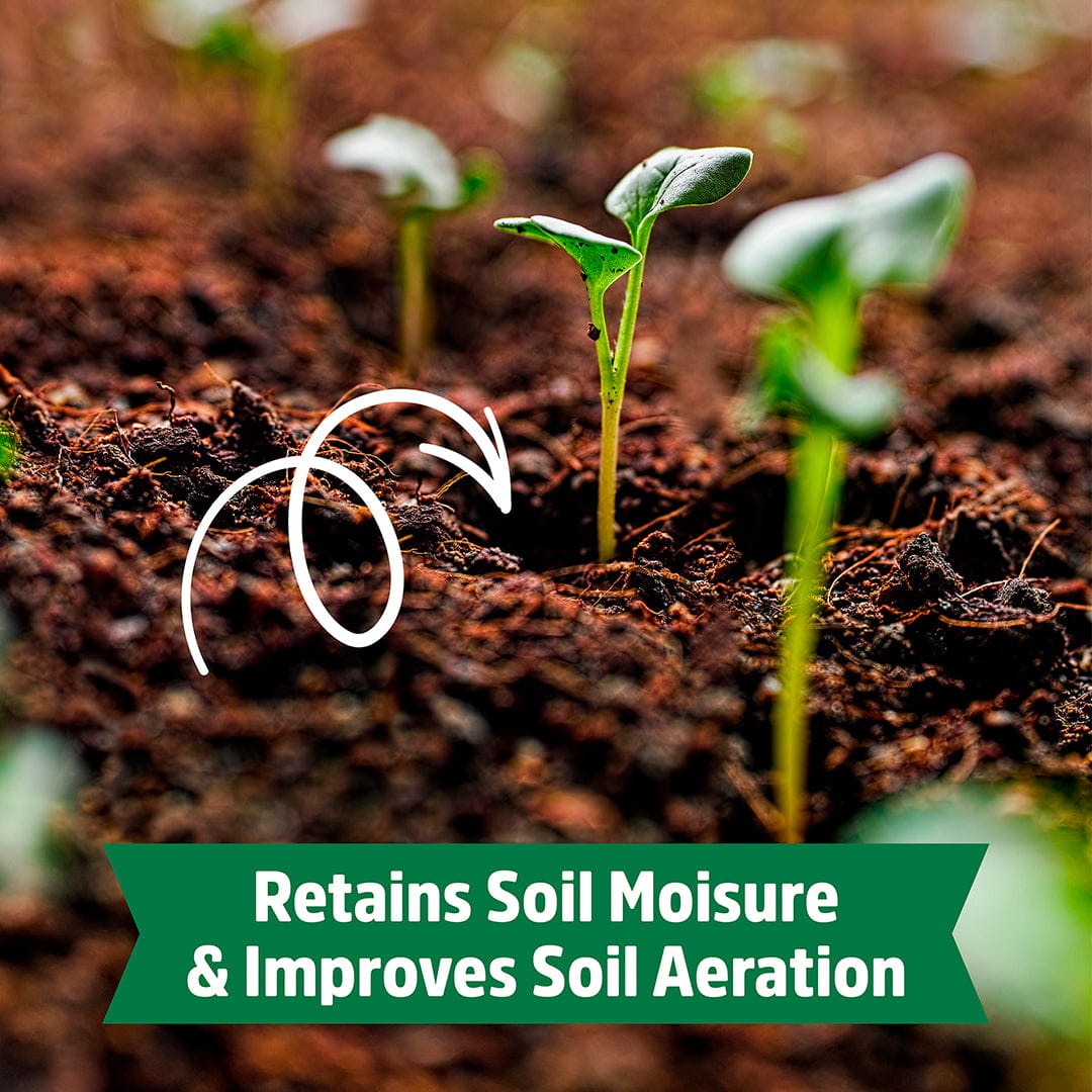 Close-up of rich brown coconut coir mulch with green seedlings emerging, highlighting moisture retention and soil aeration. - Organic Coconut Coir Mulch 10lb Block - Default Title - Back to the Roots