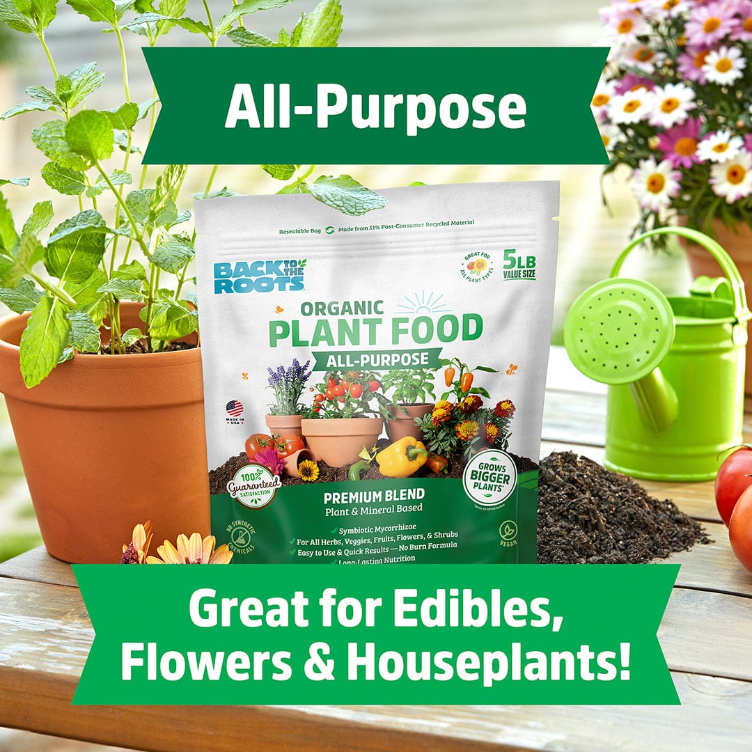 A bag of Back to the Roots Organic All-Purpose Plant Food (5 lb. Value Size) is on a table with a green watering can, soil, and plants nearby. Text highlights its mycorrhizae boost for edibles, flowers, and houseplants.