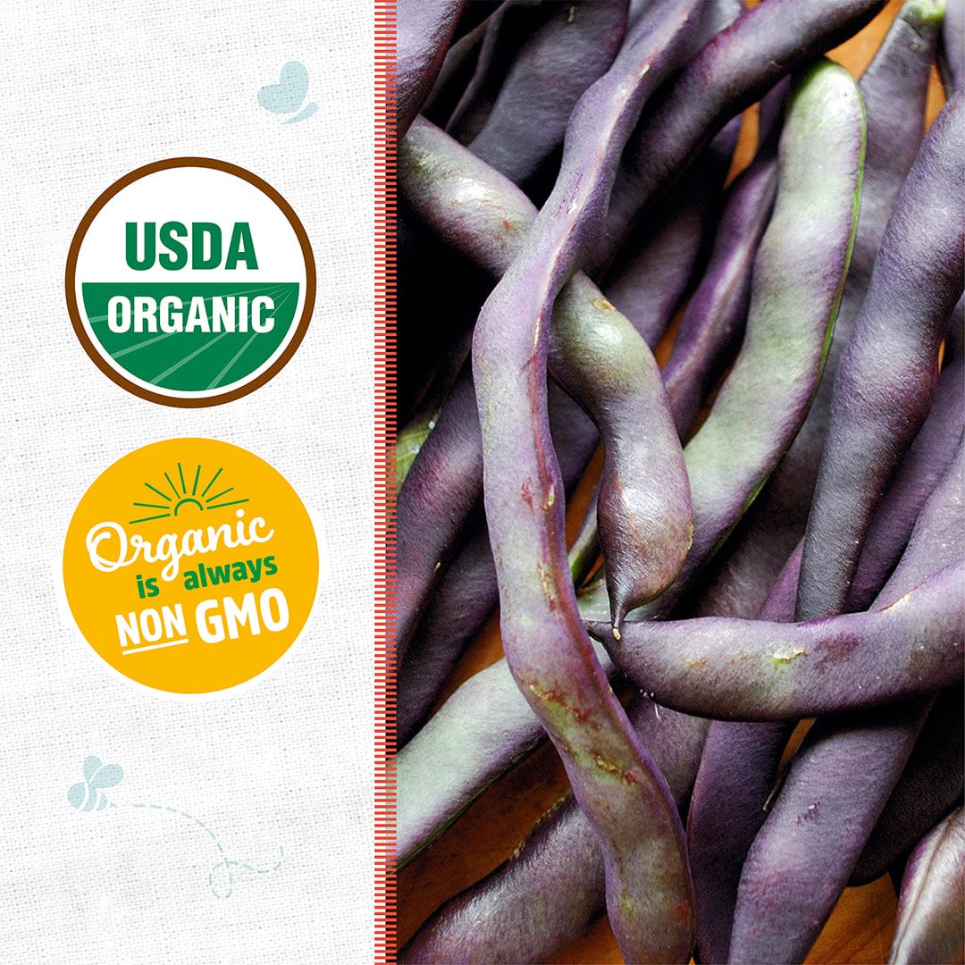 Close-up of organic Royalty Purple Pod bean seeds with deep purple pods and green accents on USDA organic and non-GMO seed. - Organic Bean Seeds — 'Royalty Purple Pod' - Default Title - Back to the Roots