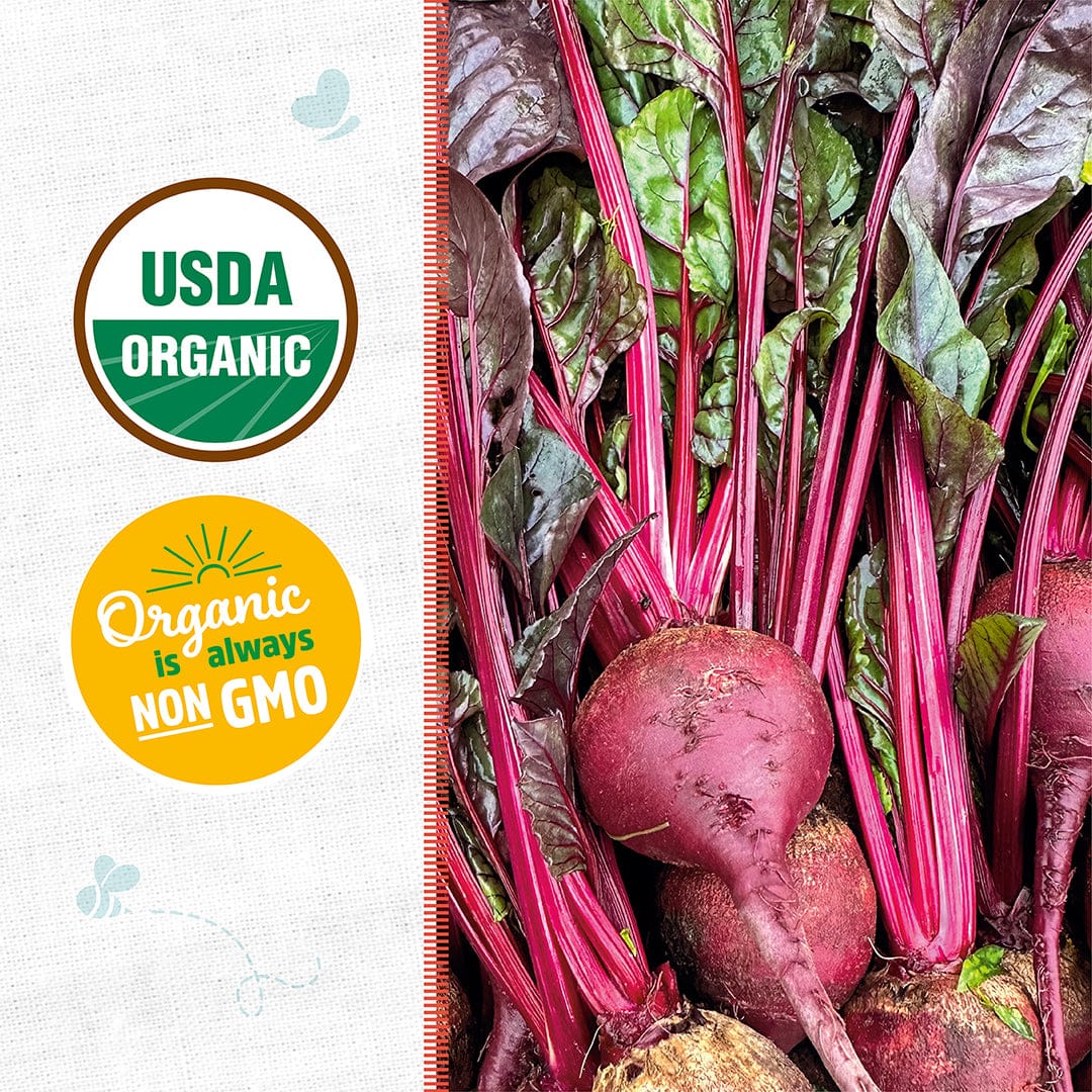 Bundle of vibrant purple-red beets with lush green leaves and deep magenta stems, USDA Organic and Non-GMO labels on white. - Organic Beet Seeds — 'Early Wonder Tall Top' - Default Title - Back to the Roots