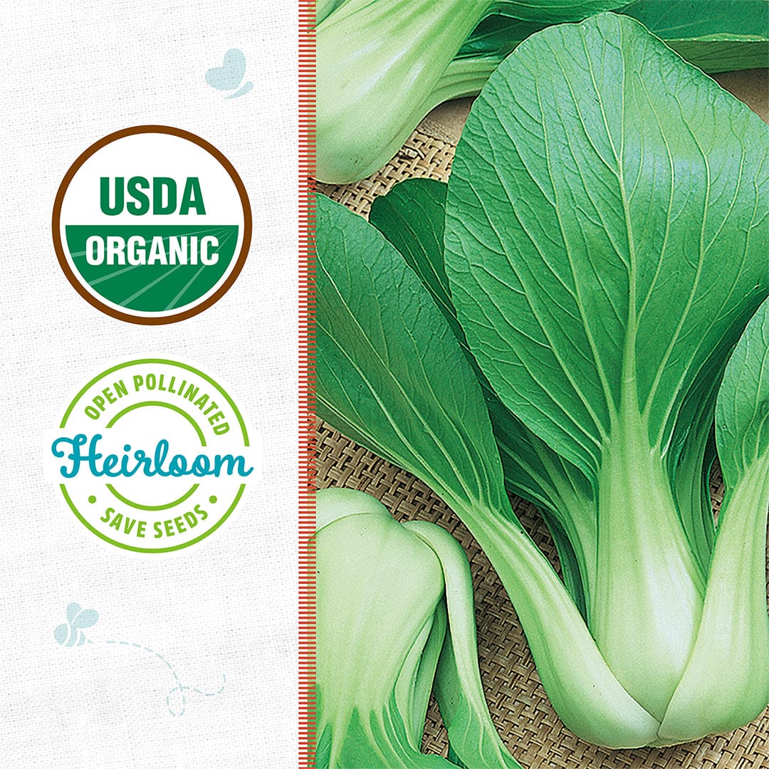 USDA organic and heirloom labels beside fresh green bok choy highlight Back to the Roots Organic Bok Choy Seeds — 'White Stem', perfect for anyone wanting to grow premium Asian greens at home.