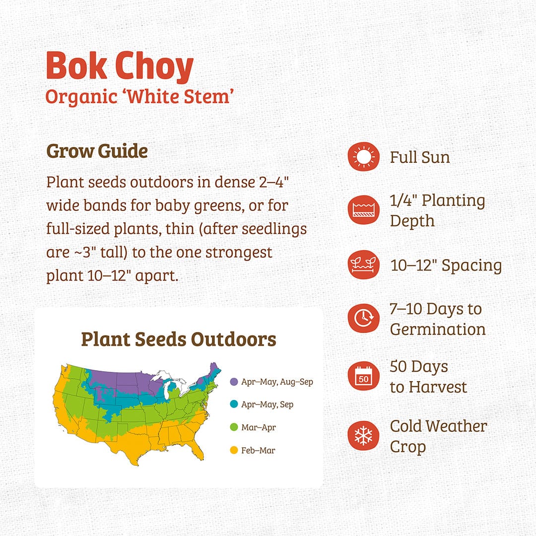 Back to the Roots Organic Bok Choy Seeds ‘White Stem’ infographic features planting tips, U.S. seeding times, and icons for sun, depth, spacing, germination, harvest time, cold weather suitability, and vitamin C benefits.