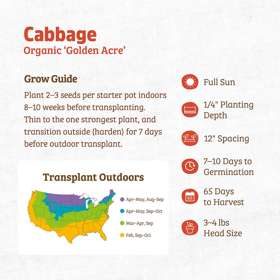 Back to the Roots Organic Cabbage Seeds — 'Golden Acre' guide with planting tips, harvest time, spacing info, and a US regional map for transplanting cabbage seeds.