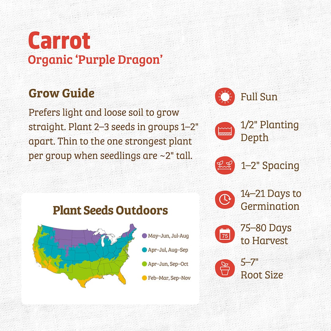 Seed packet for Organic Purple Dragon carrots with planting guide and colorful map detailing growing regions. - Organic Carrot Seeds — 'Purple Dragon' - Default Title - Back to the Roots