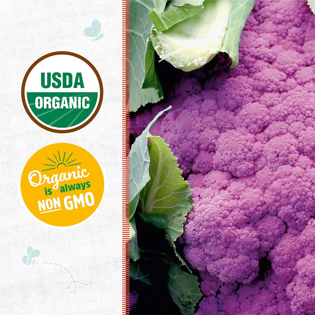 Bright purple cauliflower head with green leaves, USDA organic and non-GMO seed packet label visible. - Organic Cauliflower Seeds — 'Purple of Sicily' - Default Title - Back to the Roots
