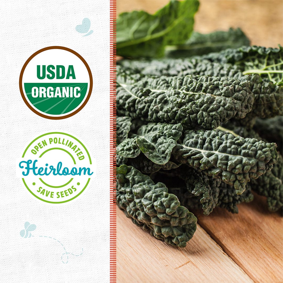 Organic Kale Seeds — 'Lacinato/Dinosaur' by Back to the Roots shown as fresh, dark green leaves on a wooden surface, accompanied by USDA Organic and Heirloom certification badges.