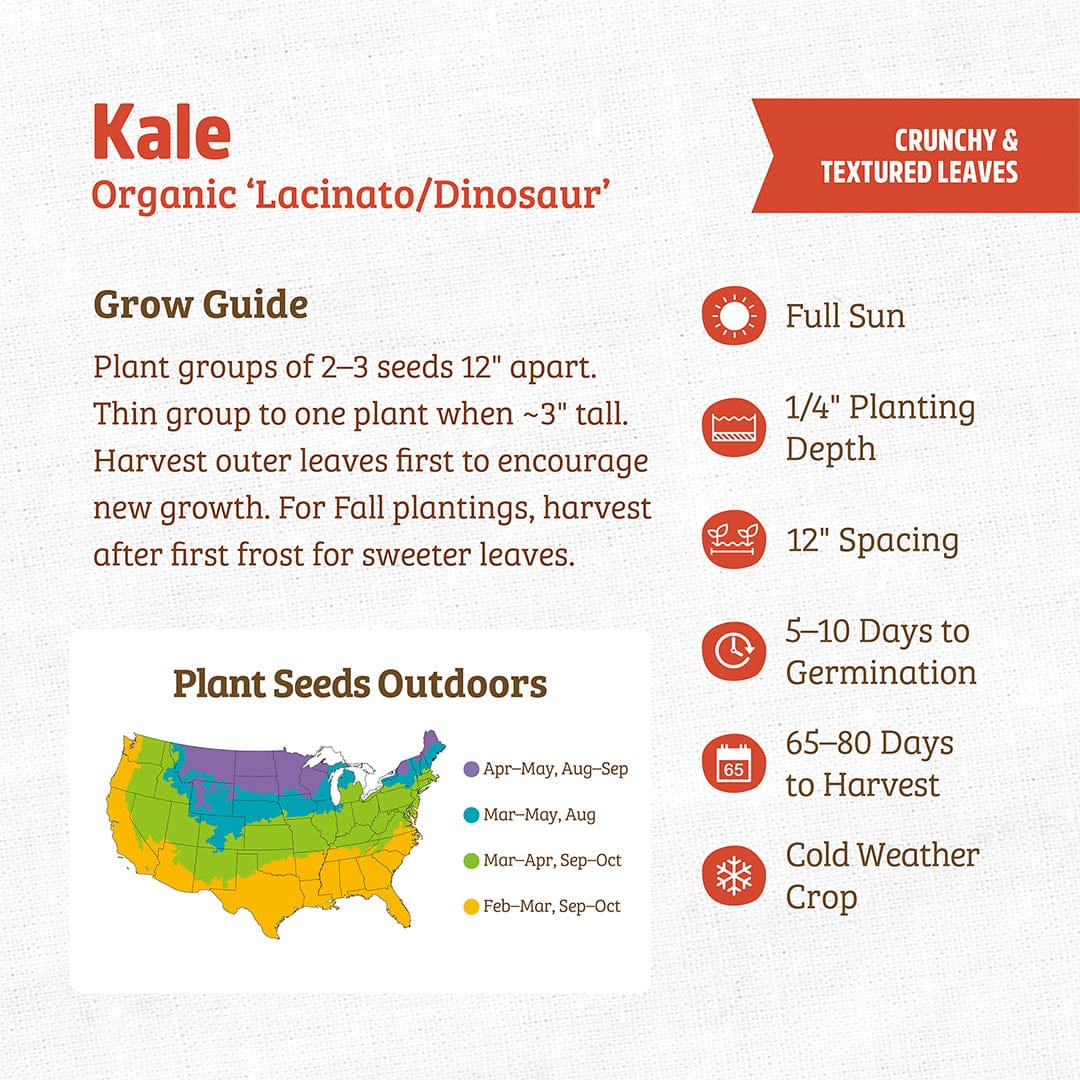 Back to the Roots Organic Kale Seeds — 'Lacinato/Dinosaur': Guide includes planting instructions, germination time, days to harvest, US map of optimal outdoor planting months, highlights cold-hardy veggies, plus planting tip icons.