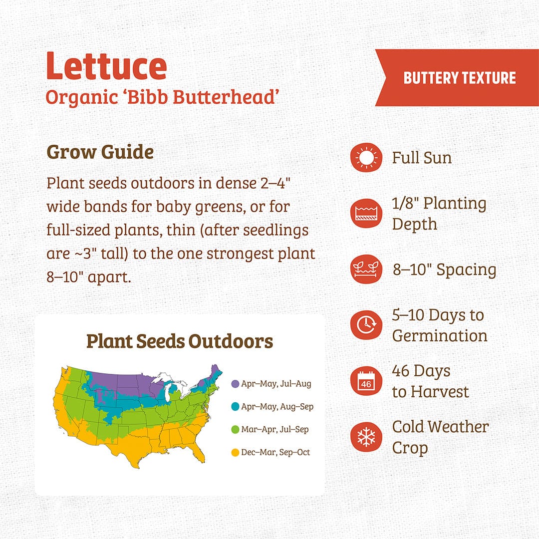 The Back to the Roots Organic Lettuce Seeds — 'Bibb Butterhead' grow guide offers a planting map, essential growing info, and tips on spacing, sun, germination, and harvesting—ideal for fresh homegrown salad greens.