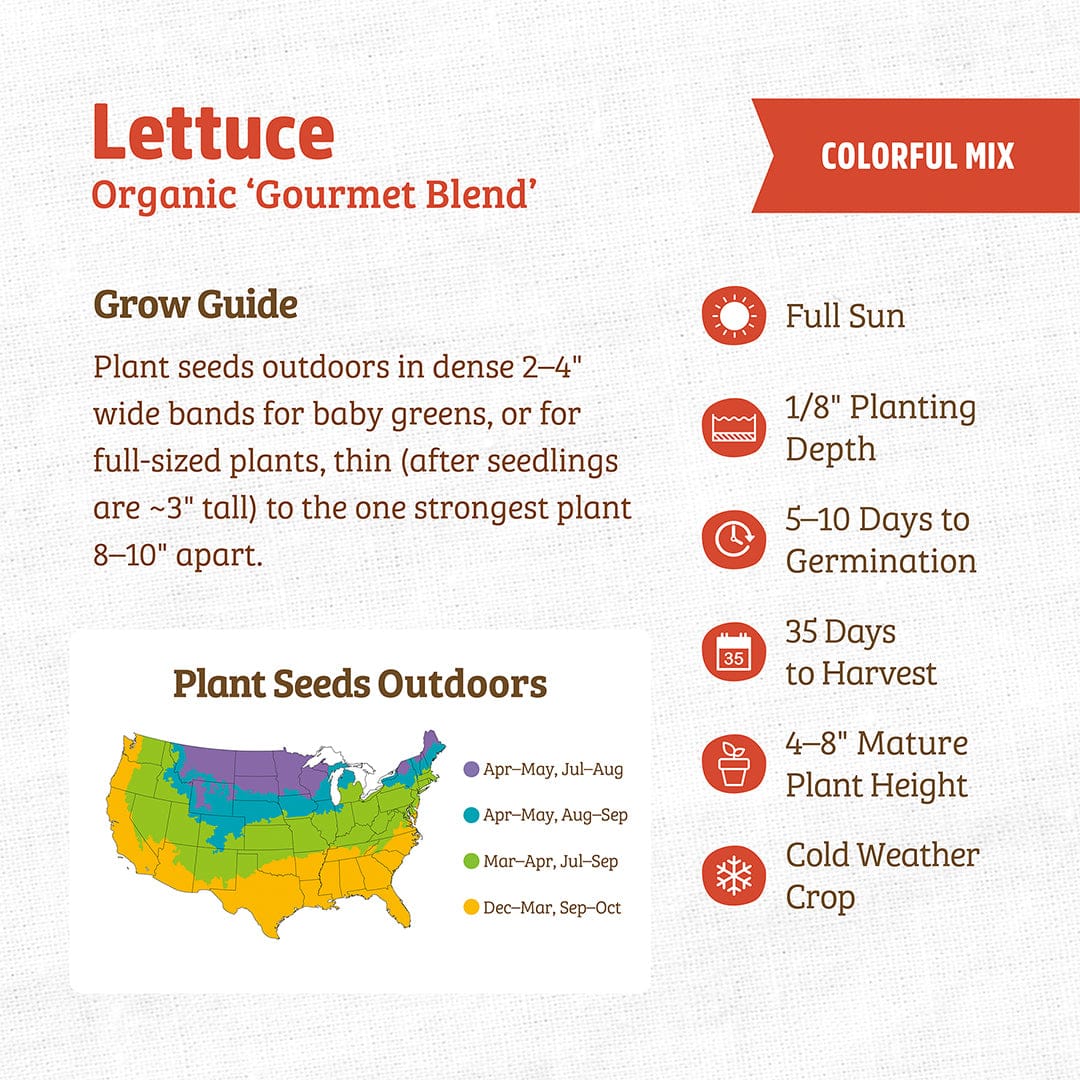 Back to the Roots Organic Lettuce Seeds — 'Gourmet Blend': Includes an informational guide with planting tips, growth timeline, and US zone map—ideal for growing this cool weather crop in various outdoor planting seasons.