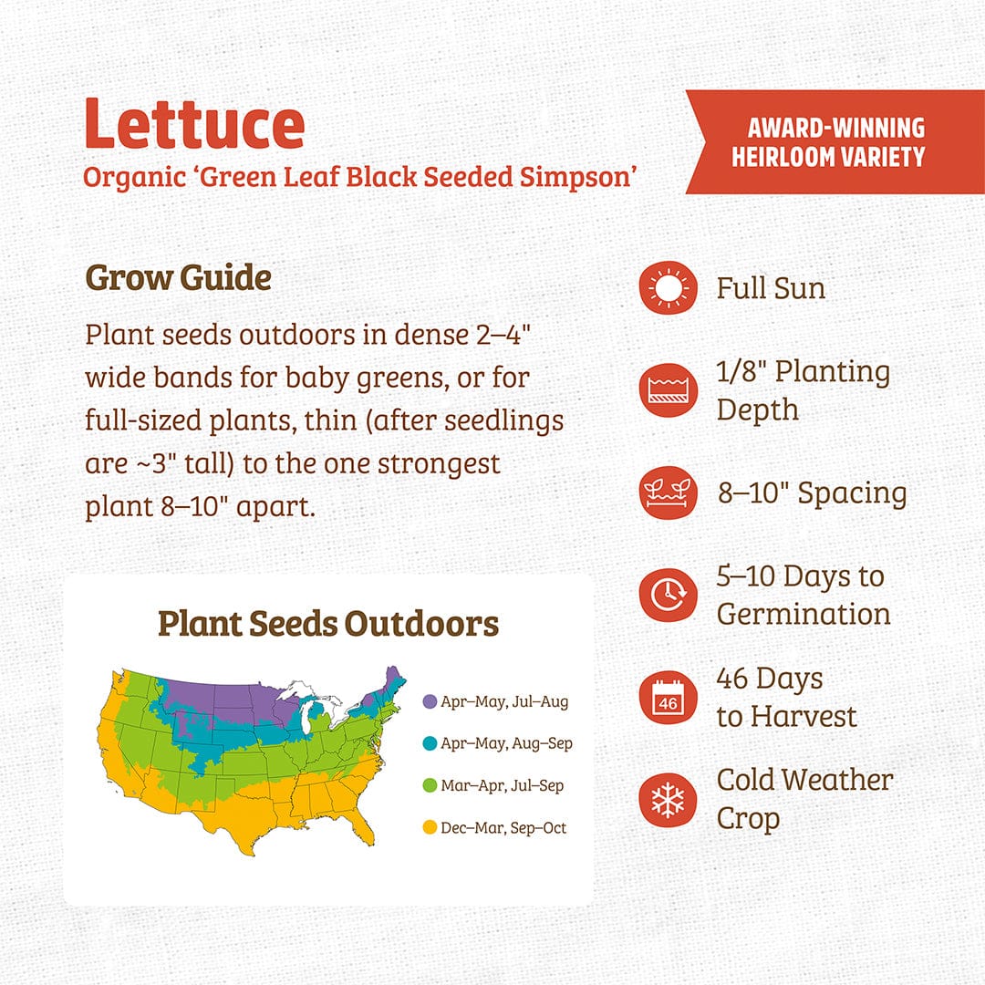 Informational graphic for Back to the Roots Organic Lettuce Seeds—'Green Leaf Black Seeded Simpson'—features growing instructions, a U.S. planting map, and icons for sun, planting depth, spacing, germination, harvest time, and cold resistance.