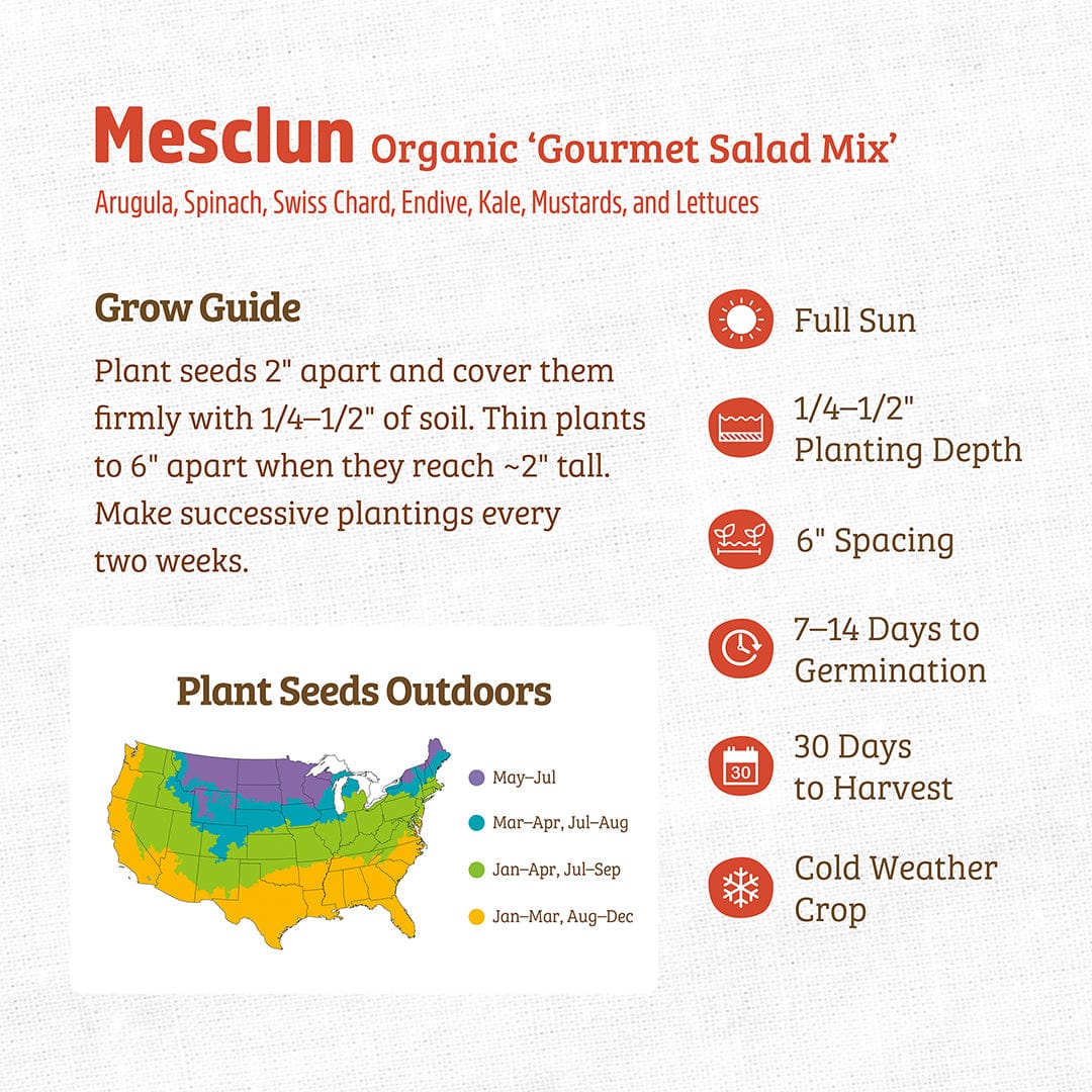Back to the Roots Organic Mesclun Seeds ‘Gourmet Salad Mix’ grow guide includes planting instructions, regional sowing schedule, and icons for sun, spacing, germination, harvest time, and cold weather—ideal for fresh lettuce and salad greens.