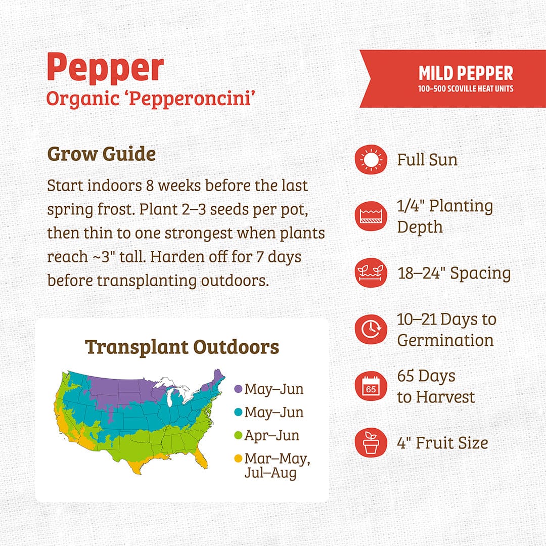 Organic pepper seed packet with red and orange text, labeled 'Pepperoncini,' featuring planting and care instructions with a - Organic Pepper Seeds — 'Pepperoncini' - Default Title - Back to the Roots