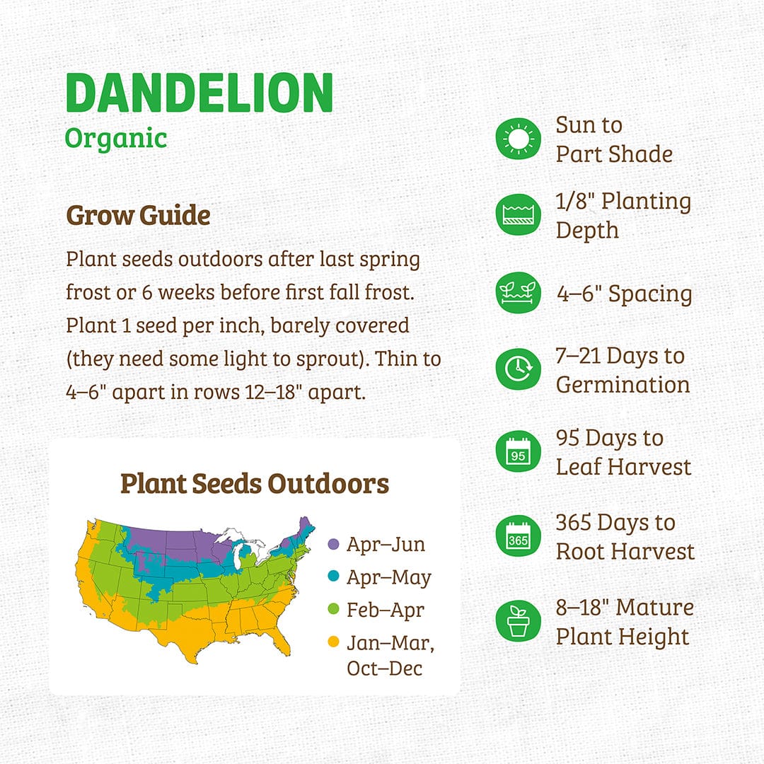 Organic Dandelion Seeds ROC packet with planting guide, colorful USDA planting zone map, and growth tips in green and yellow - Organic Dandelion Seeds ROC - Default Title - Back to the Roots