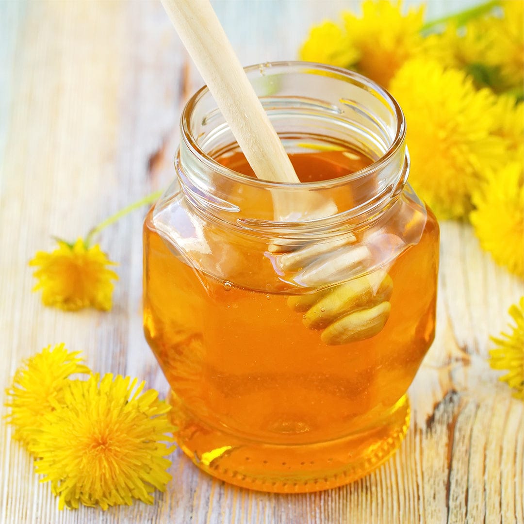 Glass jar filled with golden honey and a wooden honey dipper surrounded by yellow dandelion flowers on a light wooden. - Organic Dandelion Seeds ROC - Default Title - Back to the Roots