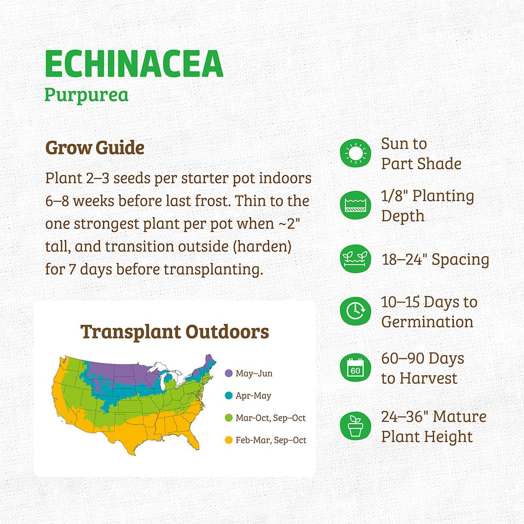 Organic Echinacea Purpurea seed packet with green and orange text, seed planting guide, and US transplant map. - Organic Echinacea Purpurea Seeds ROC - Default Title - Back to the Roots