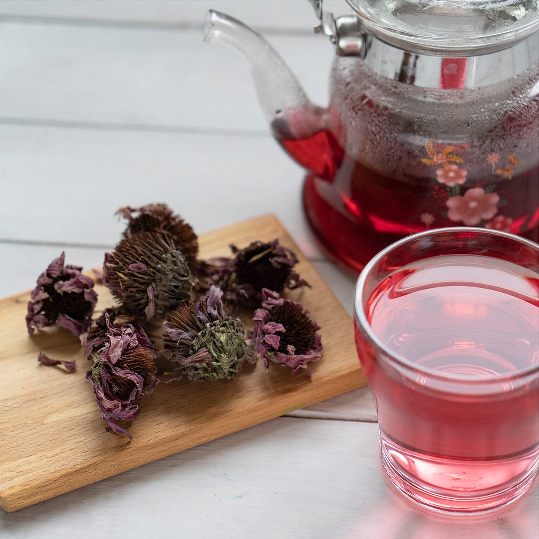 Dried purple Echinacea flowers on a wooden board next to a glass teapot and a glass of pink herbal tea. - Organic Echinacea Purpurea Seeds ROC - Default Title - Back to the Roots