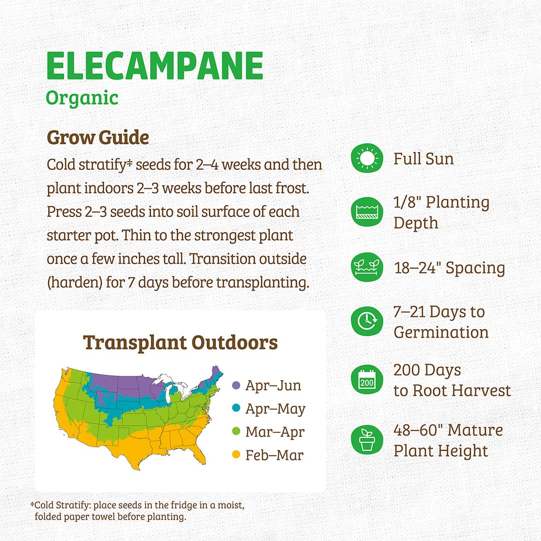Organic Elecampane seed packet with detailed growing instructions and a colorful USDA planting zone map. - Organic Elecampane Seeds ROC - Default Title - Back to the Roots