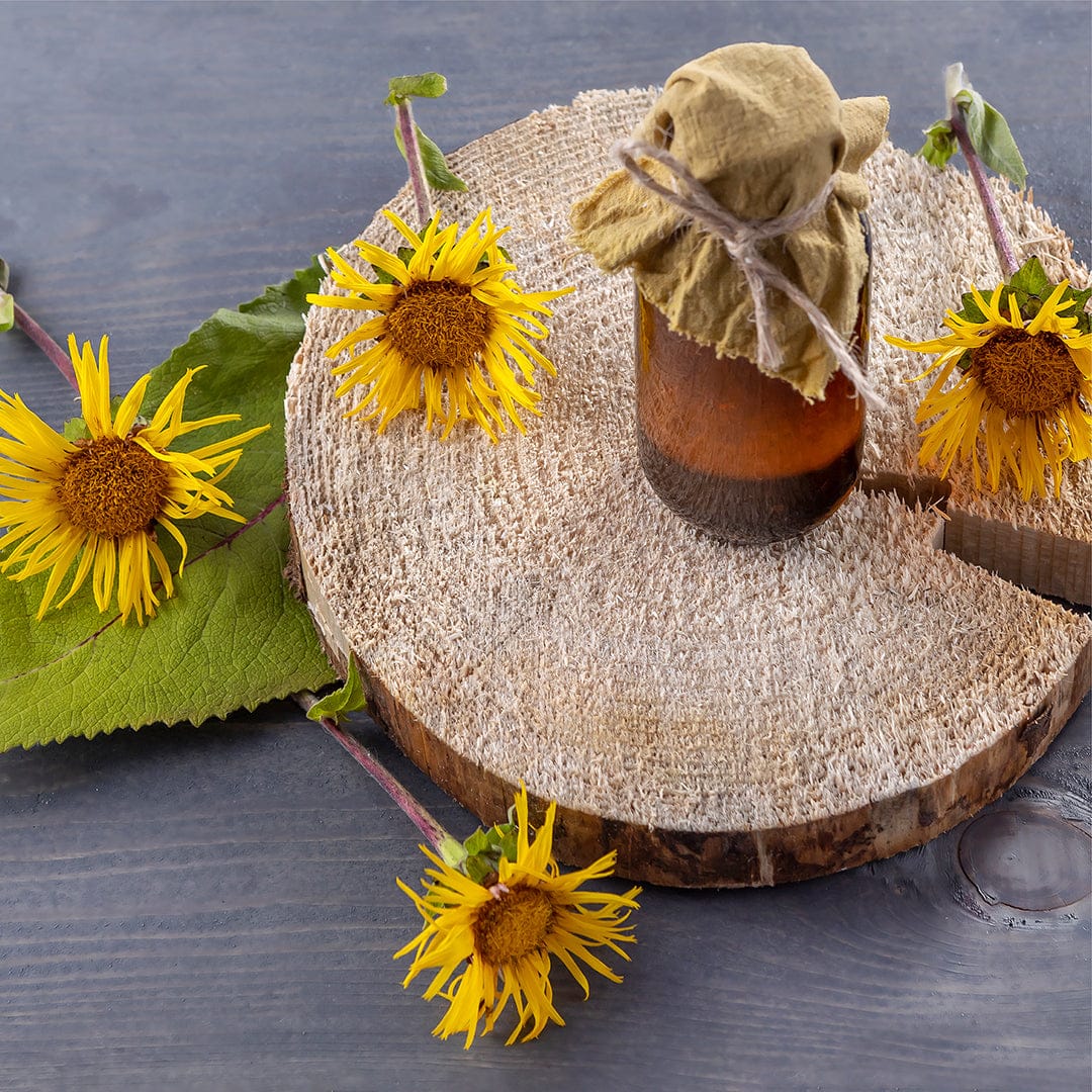 Brown glass jar with a burlap-covered lid tied with twine, surrounded by bright yellow Elecampane flowers on a round wooden. - Organic Elecampane Seeds ROC - Default Title - Back to the Roots