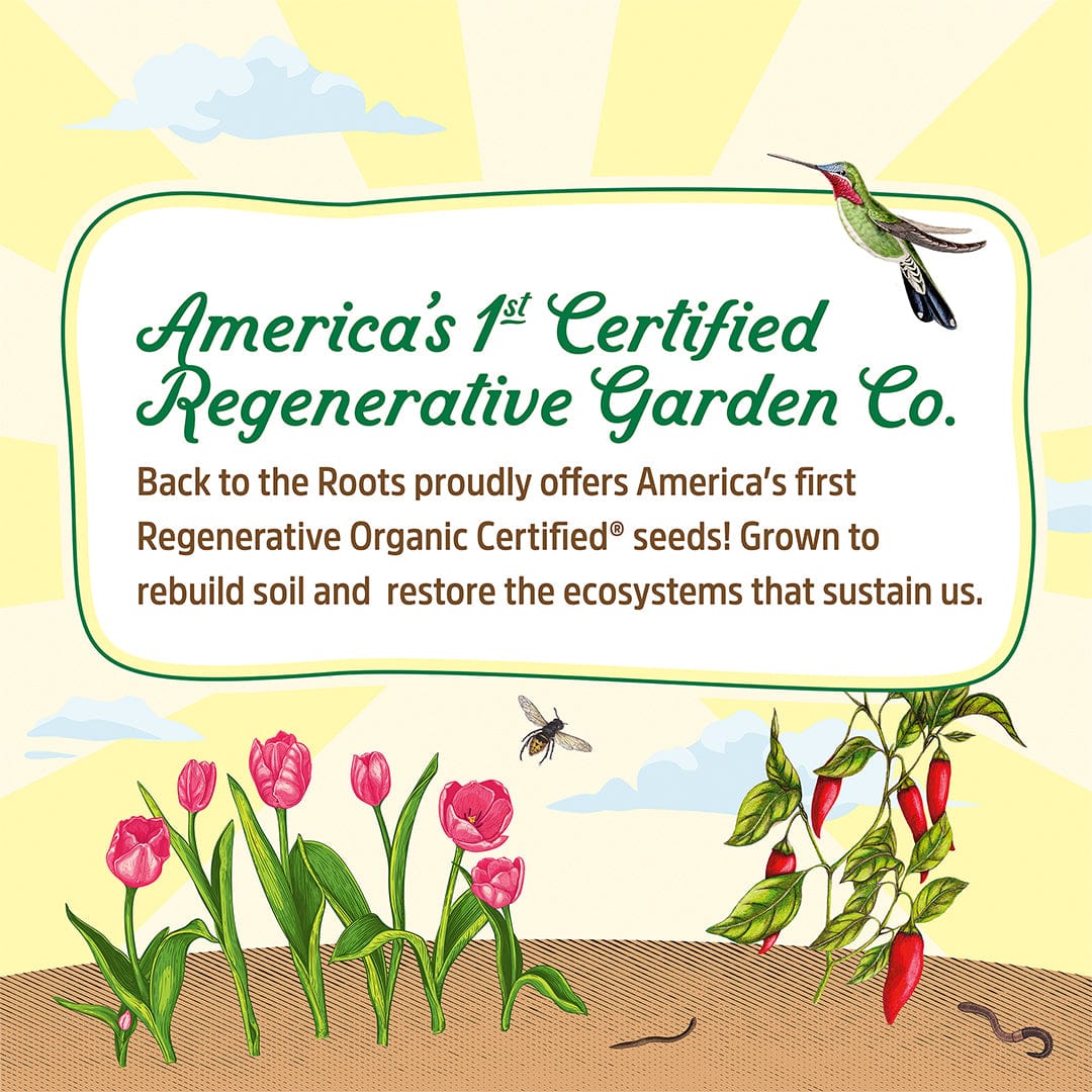 Colorful illustration of blooming pink yarrow flowers growing in soil with a green and white label featuring a hummingbird. - Organic Yarrow Seeds - Default Title - Back to the Roots