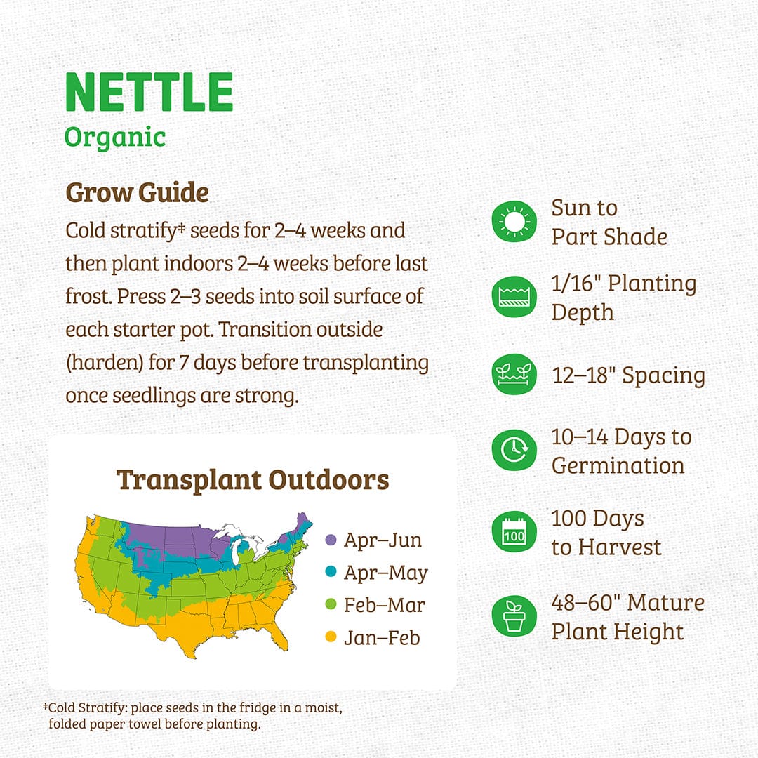 White seed packet labeled Organic Nettle Seeds ROC with green and black text and planting guide infographic on front. - Organic Nettle Seeds ROC - Default Title - Back to the Roots