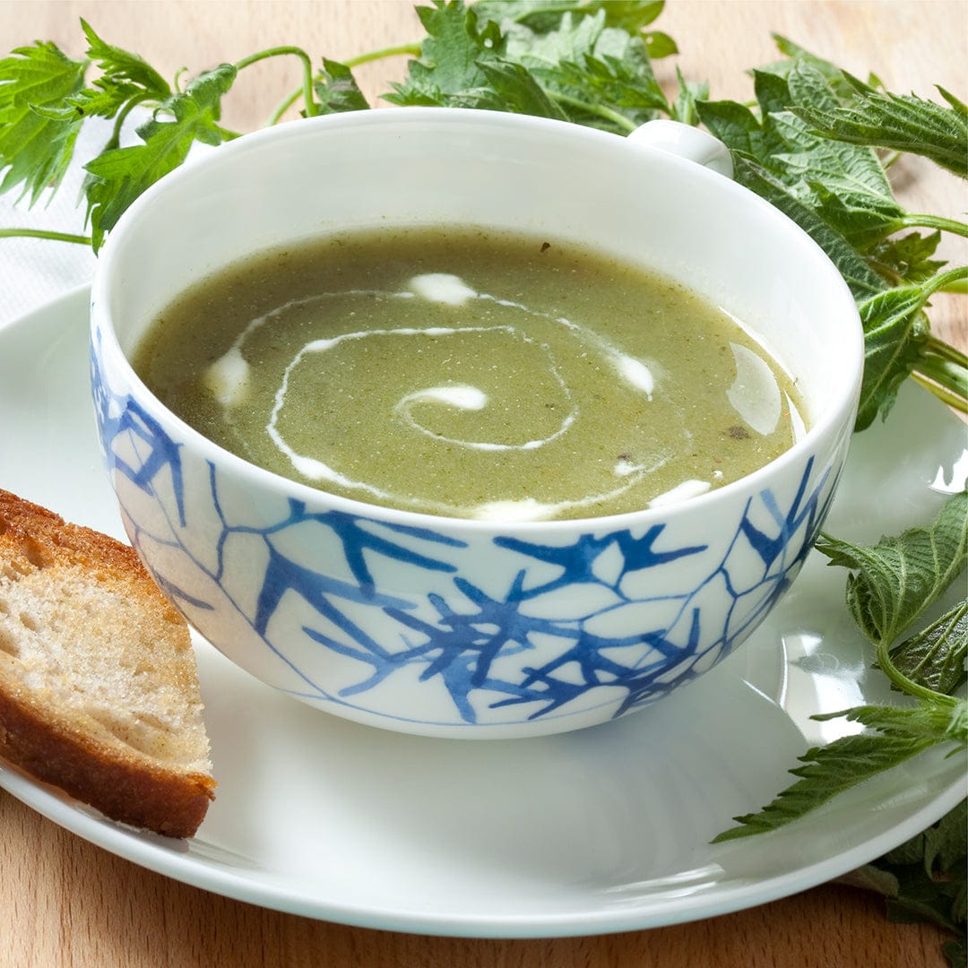 White bowl with blue branch pattern filled with green nettle soup swirled with cream, served on white plate with toasted. - Organic Nettle Seeds ROC - Default Title - Back to the Roots