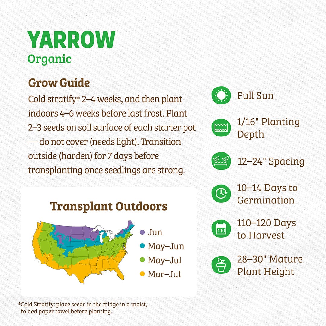 Organic Yarrow seeds packet with green title, growing instructions, and colorful US transplant zone map. - Organic Yarrow Seeds - Default Title - Back to the Roots