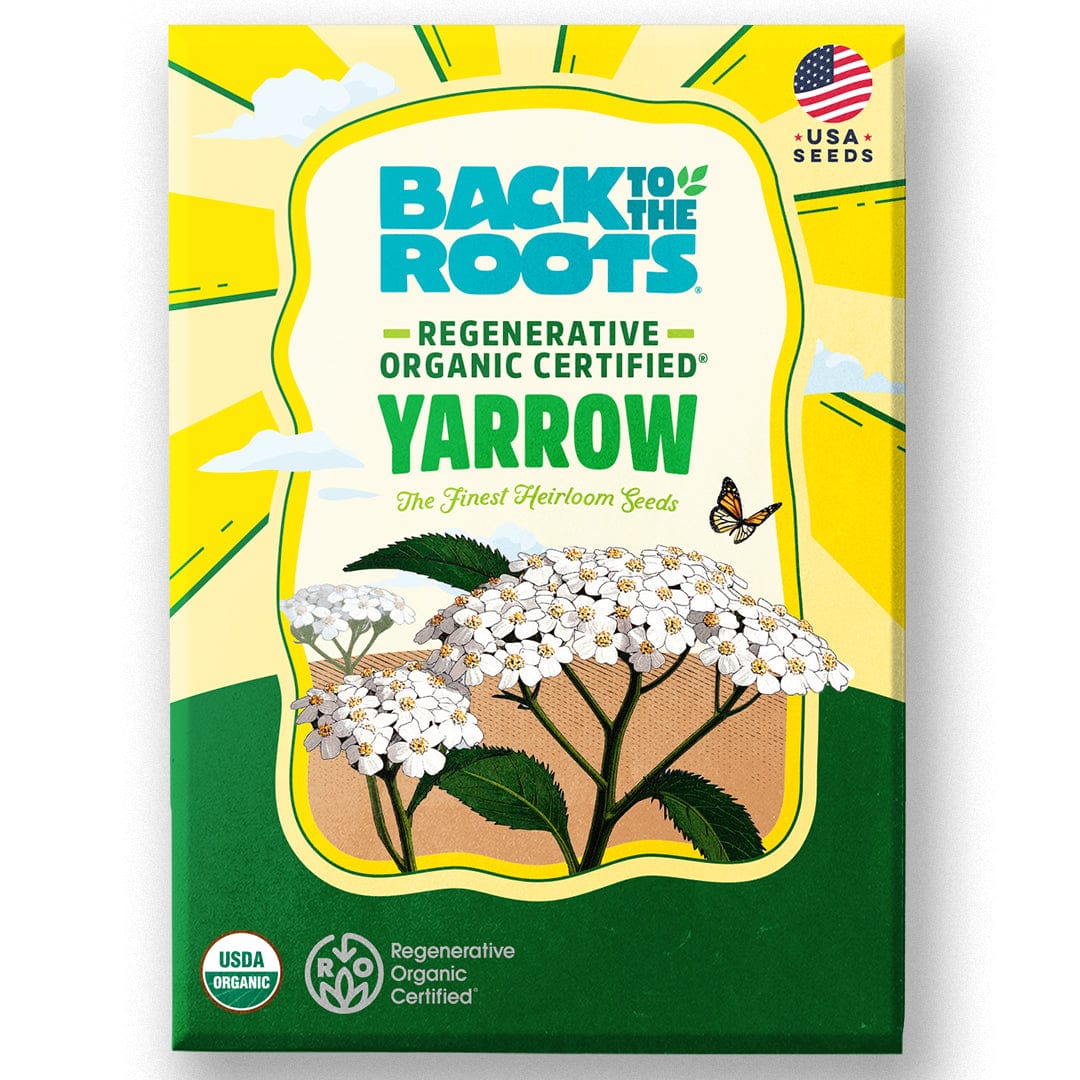 Green and yellow package of Back to the Roots organic yarrow seeds with illustrated white yarrow flowers and butterfly. - Organic Yarrow Seeds - Default Title - Back to the Roots