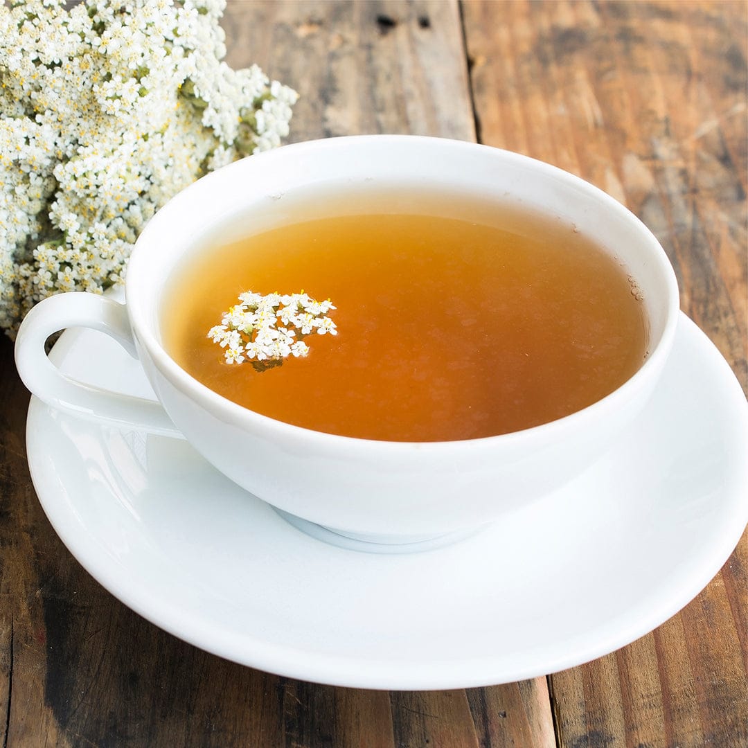 White porcelain cup and saucer filled with amber herbal tea garnished with small white yarrow flowers on a rustic wooden. - Organic Yarrow Seeds - Default Title - Back to the Roots
