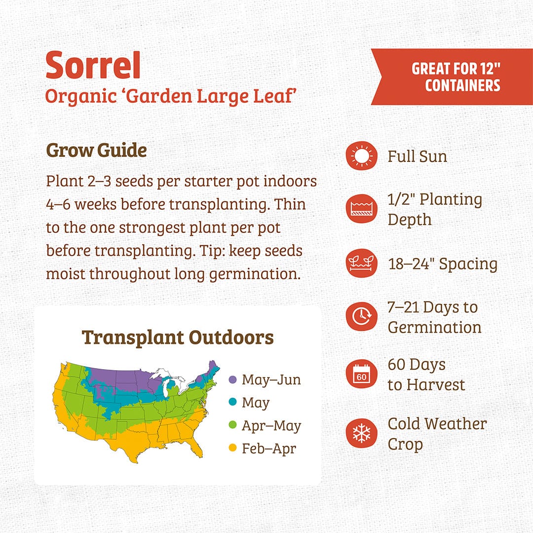 sorrel seeds for planting Back to the Roots Organic Sorrel 'Garden Large Leaf', 1 Seed packet