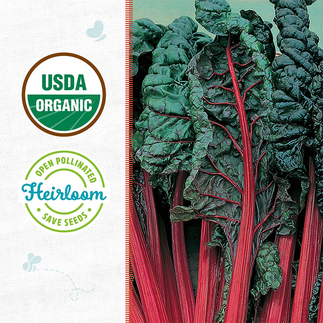 Back to the Roots Organic Swiss Chard Seeds—‘Ruby Red’—feature vibrant red stems and heirloom, open-pollinated seeds with USDA Organic certification, ideal for gardeners planning with a grow calendar.