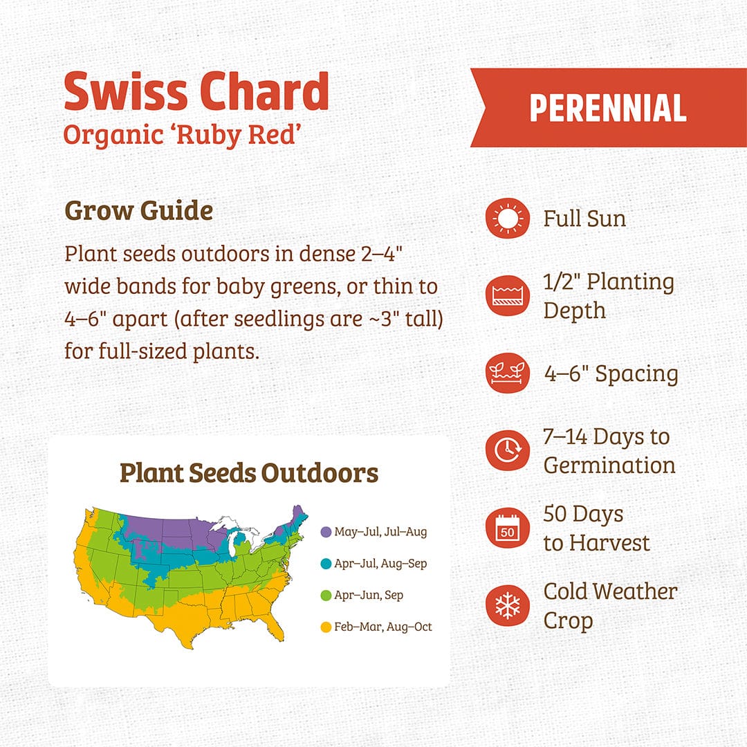 Back to the Roots Organic Swiss Chard Seeds—'Ruby Red'—planting guide with sowing, harvest details, planting depth, sun needs, germination time, and US map for outdoor planting times; ideal for veggie gardens or use with a grow calendar.