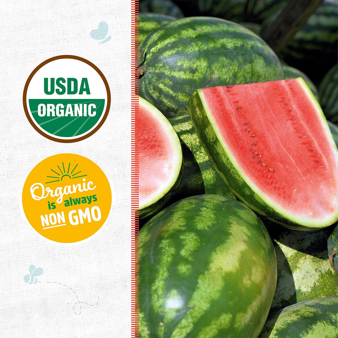 where to buy watermelon seeds for planting Organic Watermelon Seeds — 'Congo'