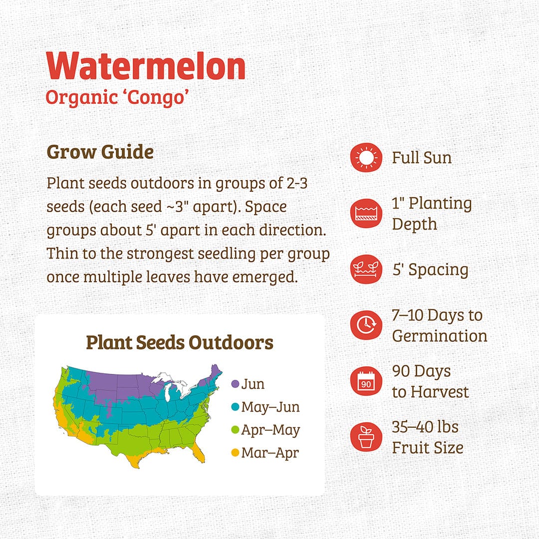 Organic Congo watermelon seed packet with red and green design and detailed planting guide text. - Organic Watermelon Seeds — 'Congo' - Default Title - Back to the Roots