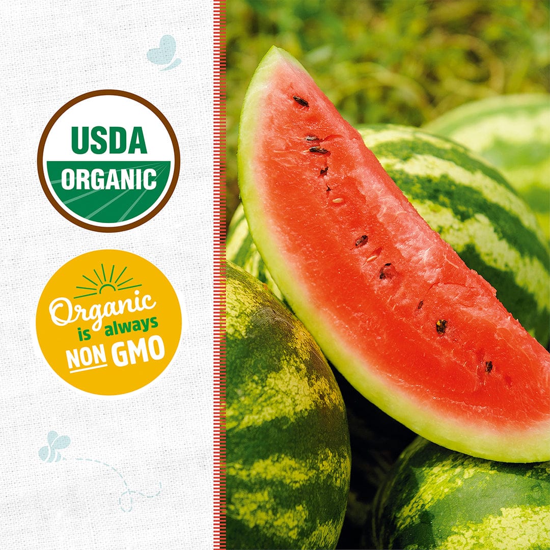 Bright red wedge of watermelon with visible black seeds resting on whole striped green watermelons. - Organic Watermelon Seeds — 'Jubilee' - Default Title - Back to the Roots