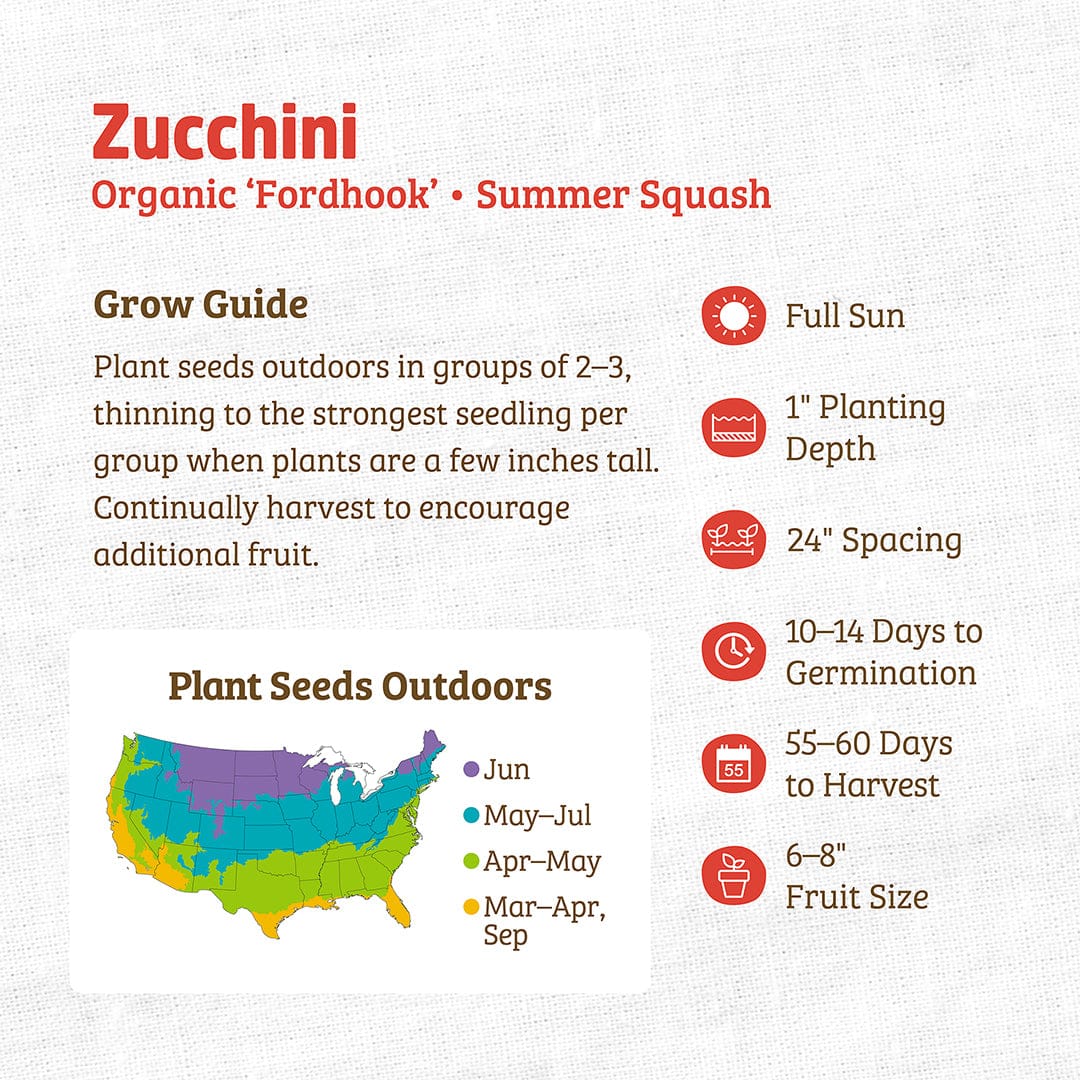 Organic Fordhook zucchini seeds packet with bright orange and green text, planting guide, and colorful regional planting map. - Organic Zucchini Seeds — 'Fordhook' • Summer Squash - Default Title - Back to the Roots