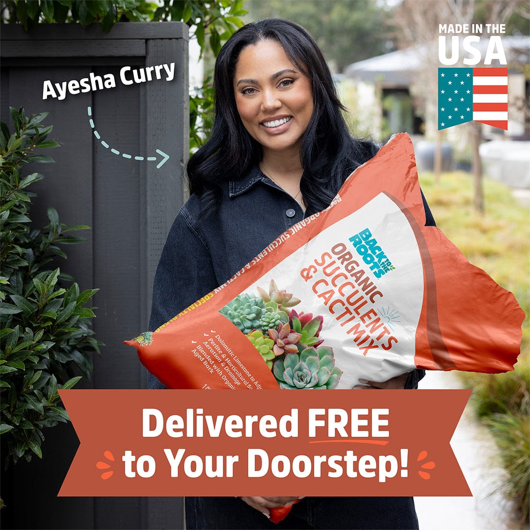 A woman stands outdoors holding Back to the Roots Organic Specialty Blend Succulents & Cacti Mix 1 cu.ft. Text highlights free doorstep delivery and "Made in the USA.