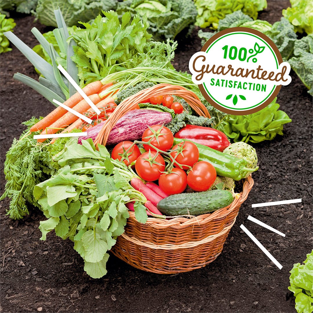 Wicker basket filled with fresh carrots, tomatoes, cucumber, radishes, and leafy greens on dark soil. - Organic Worm Castings 5lb Pouch - Default Title - Back to the Roots