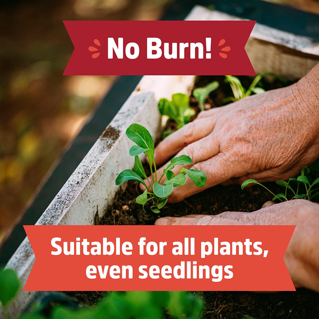 Red and white rectangular labels with texts "No Burn!" and "Suitable for all plants, even seedlings" over a close-up of. - Organic Worm Castings 5lb Pouch - Default Title - Back to the Roots