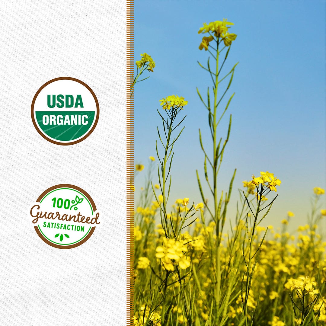 yellow mustard seeds plant Back to the Roots Organic Yellow Mustard Cover Crop Seeds