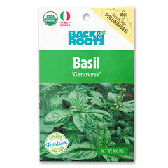 Organic Basil Seeds — 'Genovese'