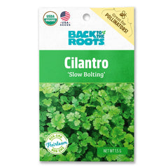 Organic Cilantro Seeds — 'Slow Bolting'