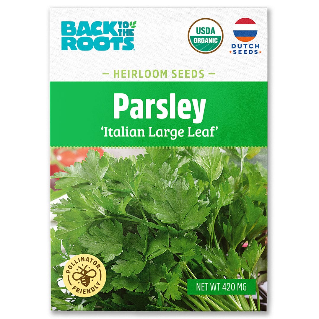 Organic Parsley Seeds — 'Italian Large Leaf'