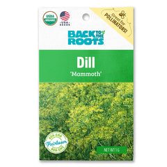 Organic Dill Seeds — 'Mammoth'