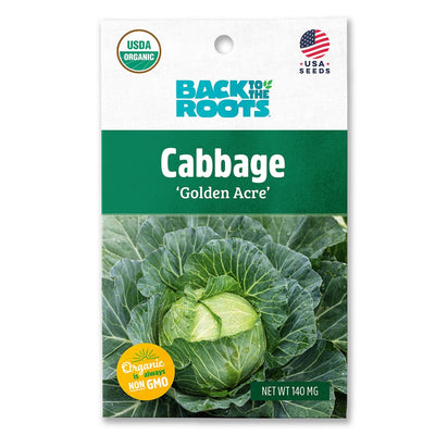 Organic Cabbage Seeds — 'Golden Acre'